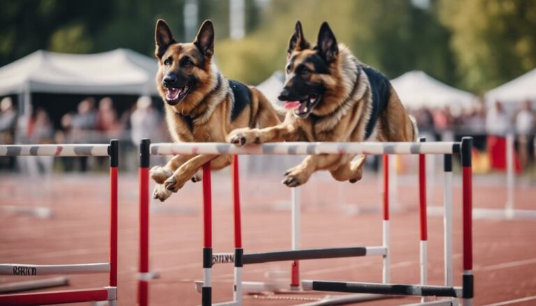 german shepherd mix training