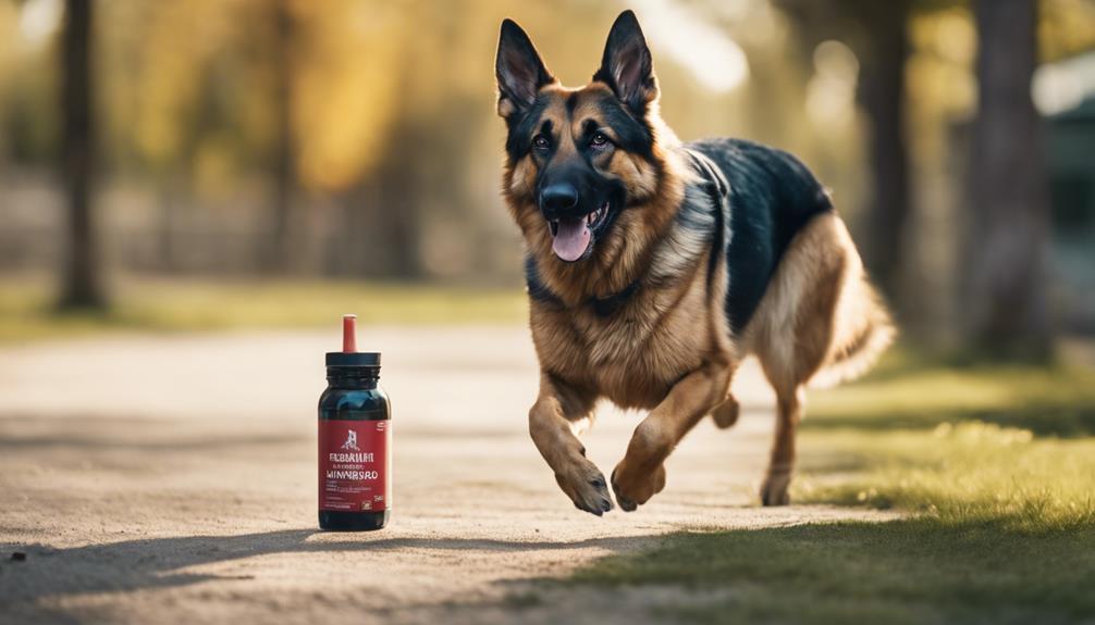 improving pet joint health