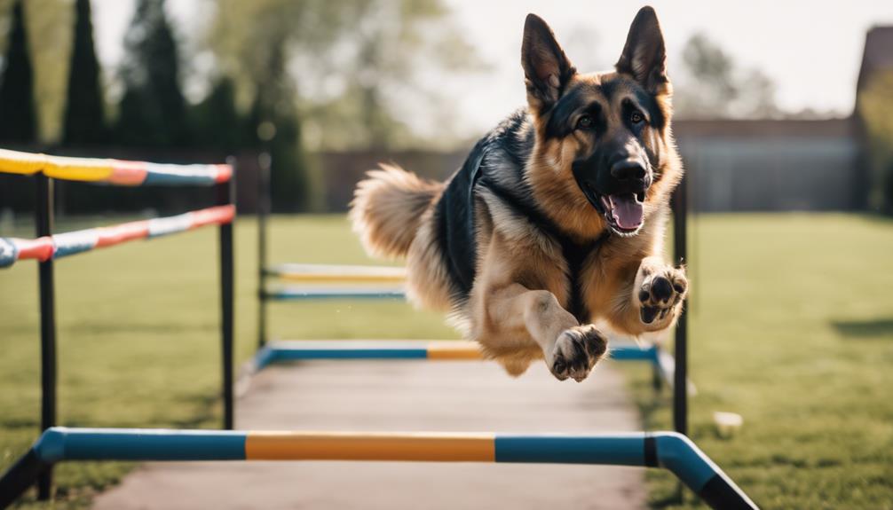 physical training for mixed breed dogs